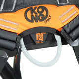 Kong X-Five Harness