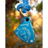 Rock Exotica DownRigger