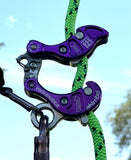 Rock Exotica Akimbo²