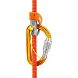Petzl Sm'D Carabiner